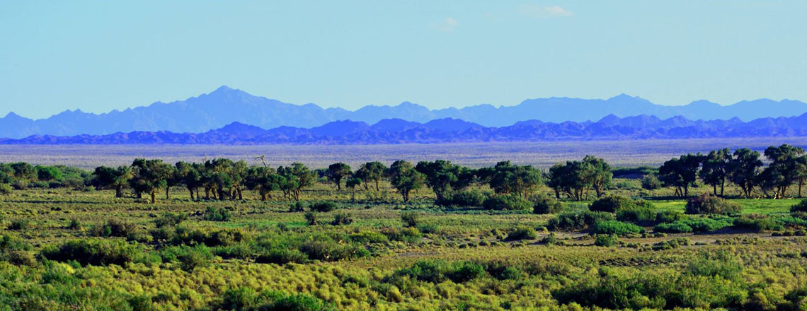 Сэгс цагаан богд